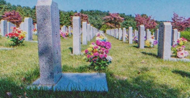 Ein Jahr nach dem Tod ihres Sohnes sah eine Frau das Grab ihrer Schwiegertochter auf dem Friedhof – Story des Tages